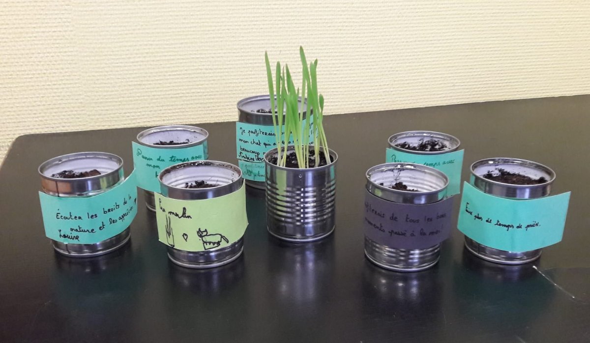 Les plants poussent à l'association Jeunes Paris 19. © Diocèse de Paris - Vicariat Enfance Adolescence.